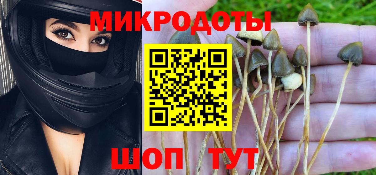 Псилоцибиновые грибы Cubensis  Вход с VPN  Муром 